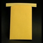 Coin Envelope