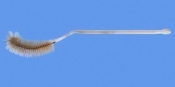 Brush (Flask), 33cm length